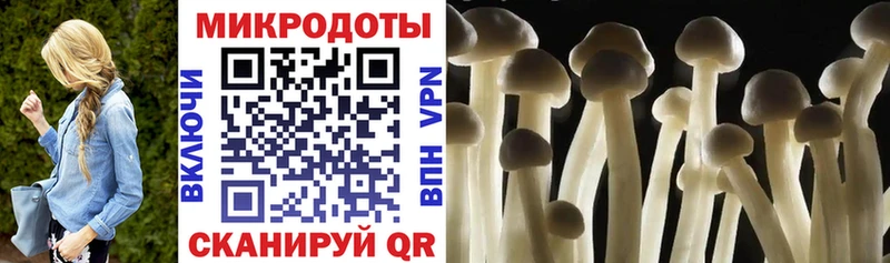 Галлюциногенные грибы Psilocybine cubensis  kraken рабочий сайт  Щучье 